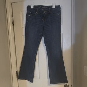 American Eagle Outfitters Dark Blue